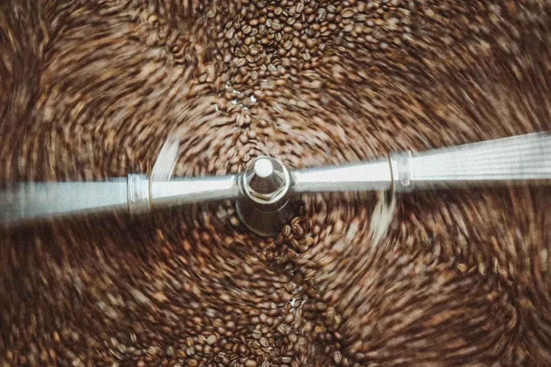 Günter Coffee Roasters 7